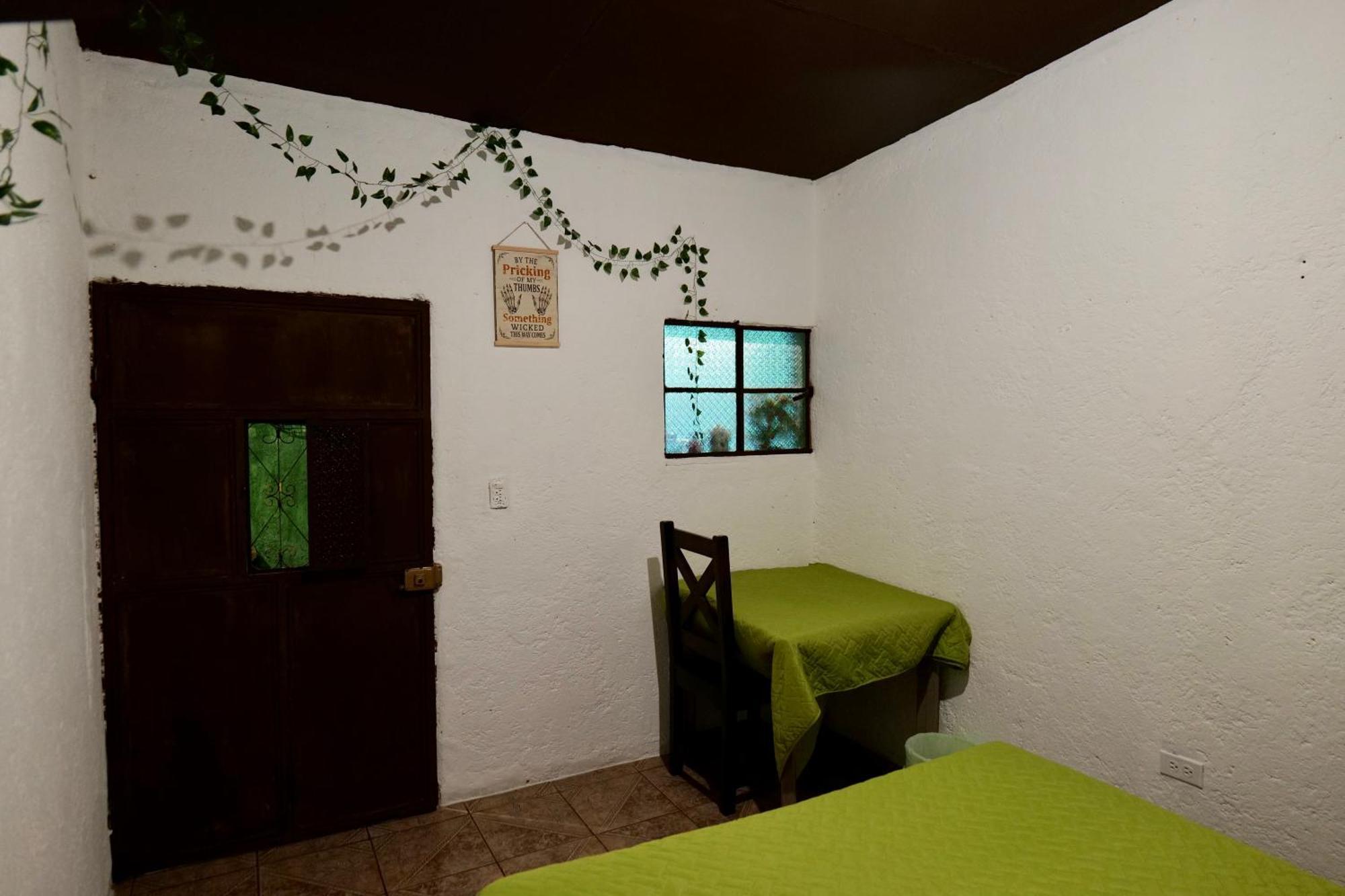 Wonderland Hostel أنتيغوا غواتيمالا المظهر الخارجي الصورة